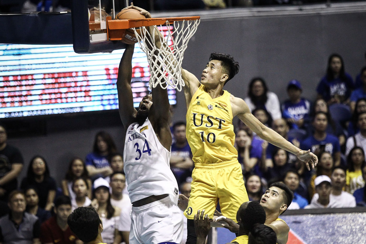 DOUBLE VICTORY. UST wins the general championship in both the seniors and juniors divisions for the fourth straight season. File photo by Josh Albelda/Rappler  