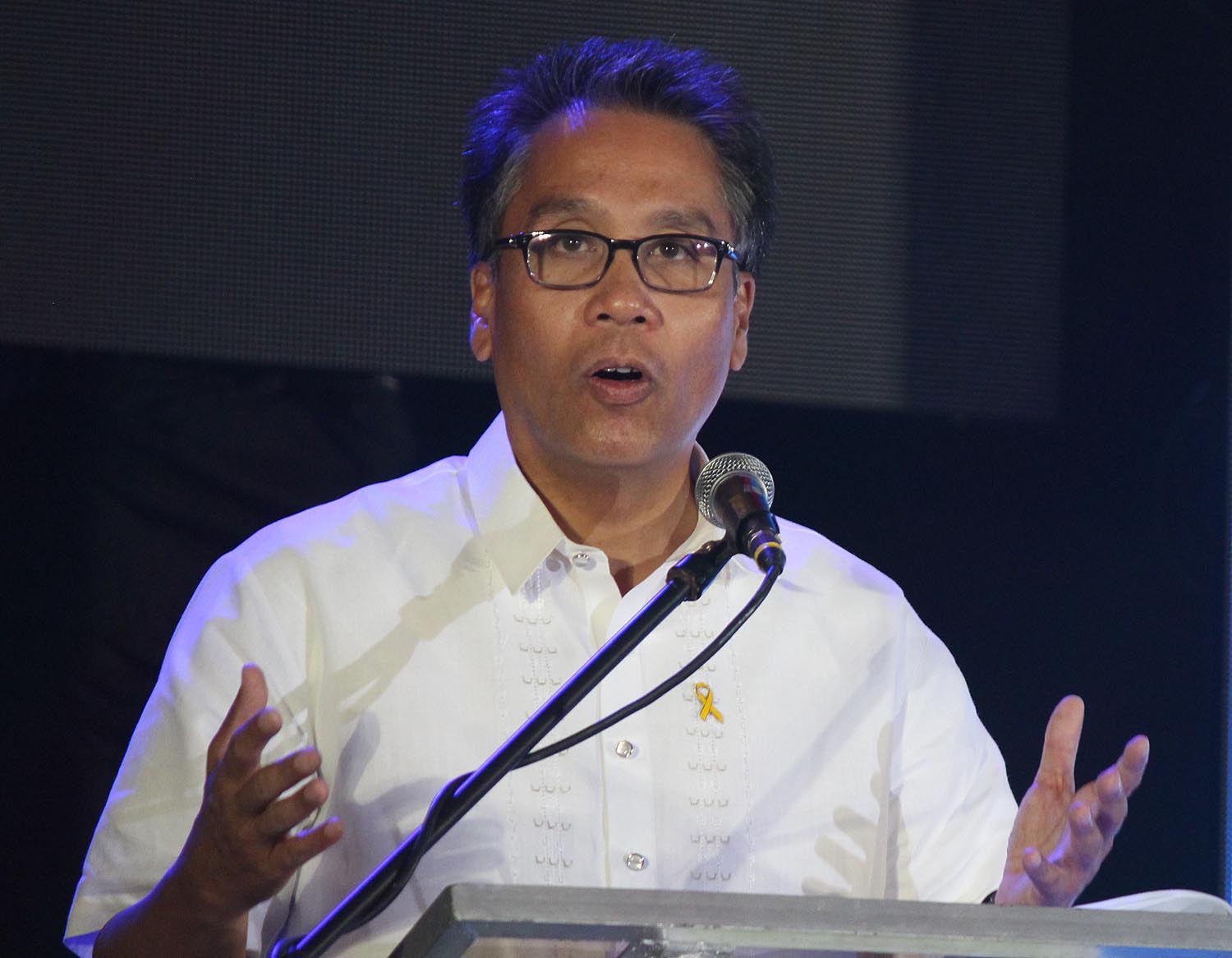TAX CUTS? Administration standard-bearer Mar Roxas says the proposed cuts in existing taxes would deprive state programs of funds. File photo by Joel Leporada/Rappler  