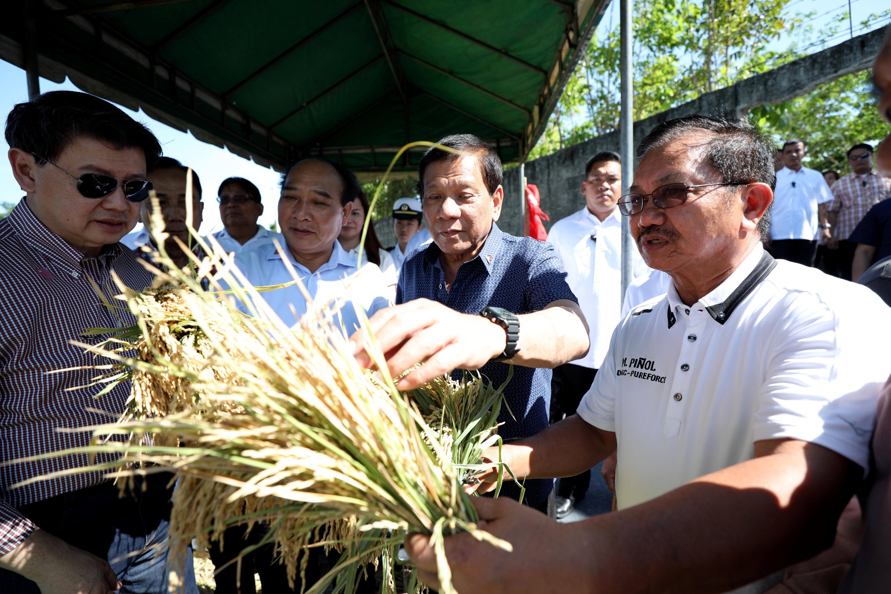 LOCAL PRODUCE. President Rodrigo Duterte checks the quality of the hybrid rice harvested during the Grand Harvest Festival of SL Agritech Corporation at the Nagkakaisang Magsasaka Agricultural Primary Multipurpose Cooperative (NMAPMPC) Compound in Talavera, Nueva Ecija on April 5, 2017. Malacañang file photo 