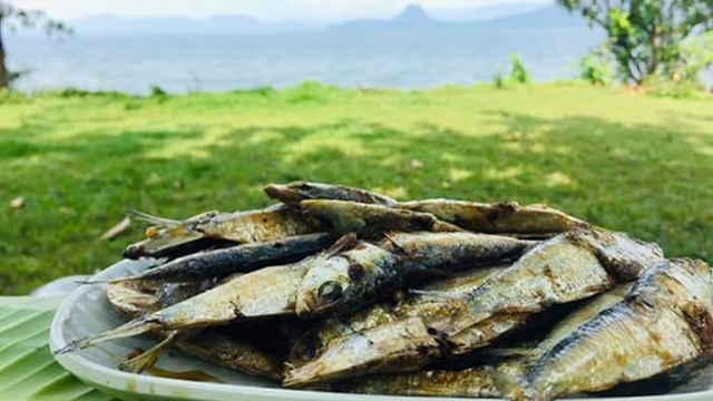 ENDANGERED SARDINE. Photo of Fried Tawilis on the foreground and Taal Lake view in the background. Photo by Eric Linatoc at Pusod TLCC in Mataasnakahoy, Batangas.  