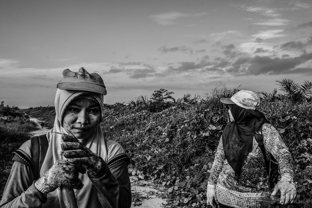 DAILY GRIND. Supraetun (left) and Asnia inside the plantation in Kandis, Riau, Indonesia.  