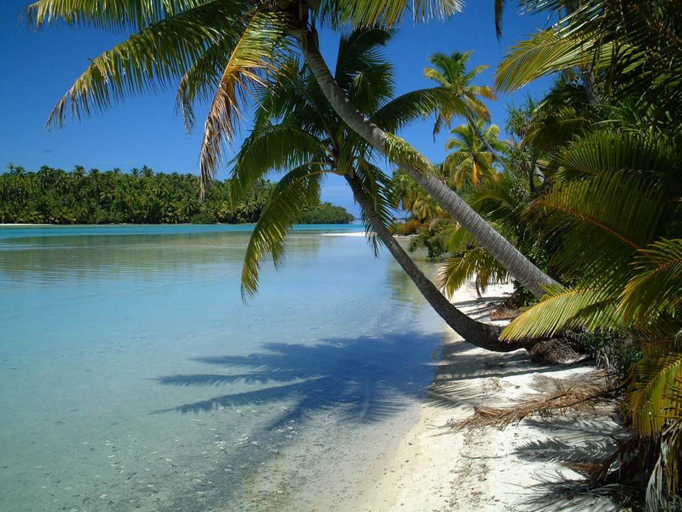 TRAVEL BAN DUE TO CORONAVIRUS. Tapuaetai or One Foot Island is part of Cook Islands, an island country in the South Pacific Ocean. Photo courtesy of Wikipedia 