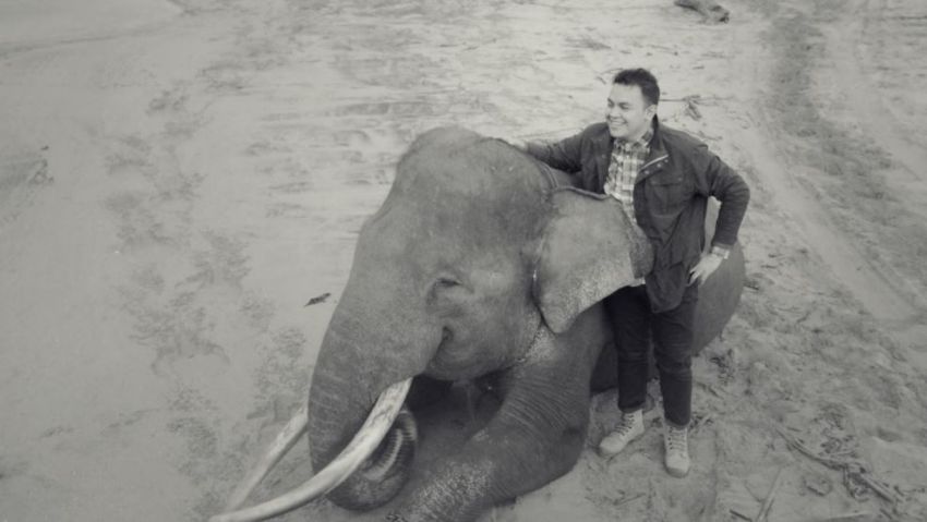Penyanyi Tulus mengajak penggemarnya berdonasi untuk konservasi gajah. Foto dari Kitabisa.com 