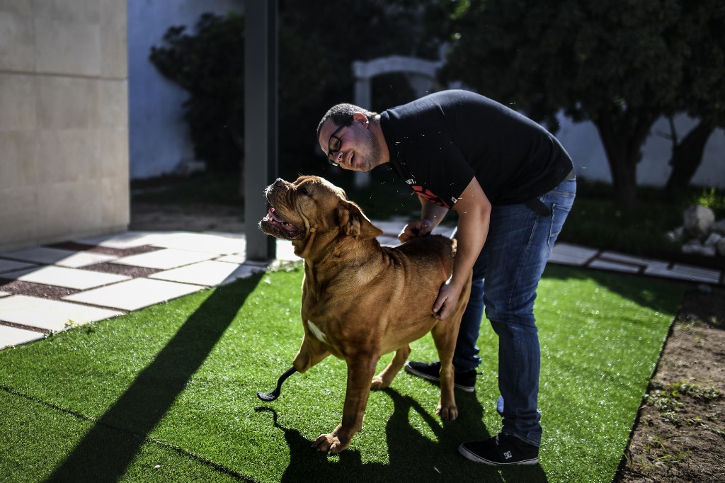 TRUE LOVE. Ronda meets her owner Arlindo Junior after her almost two months recovery at Sao Bento Veterinary Hospital in Lisbon on September 27, 2019. Photo by Patricia de Melo Moreira/AFP  