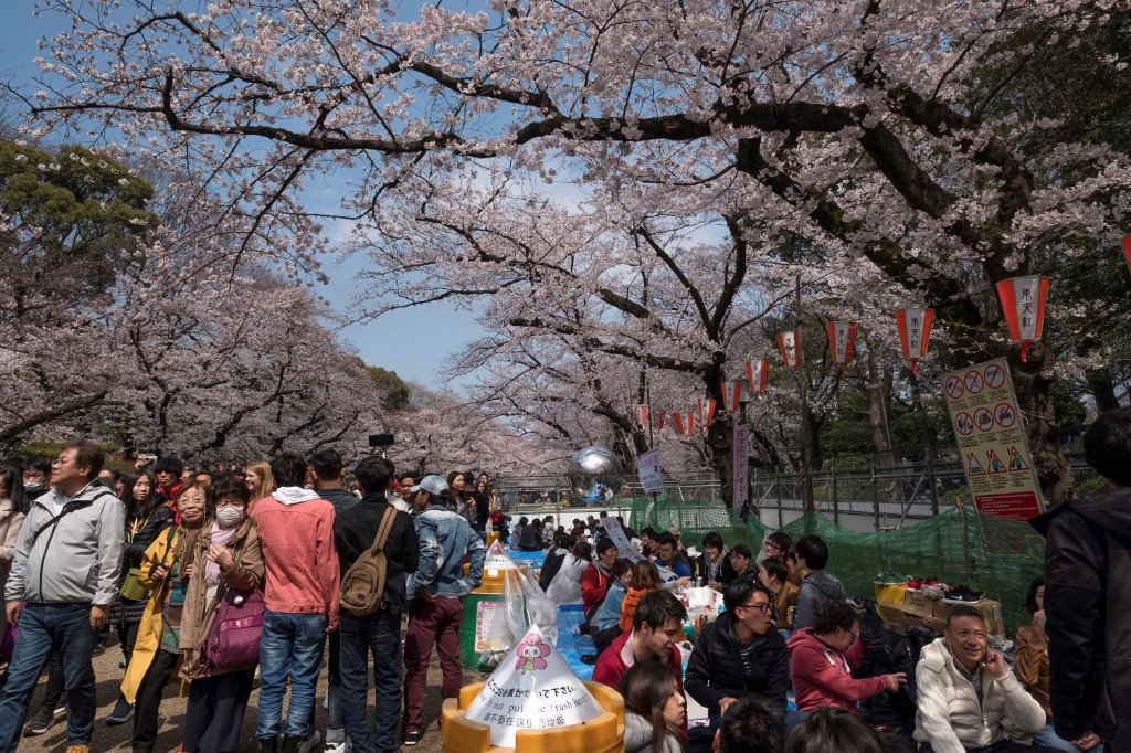 CHERRY BLOSSOMS. This picture taken on March 31, 2019 shows people enjoying cherry blossom viewing in full bloom at Ueno Park in Tokyo. Photo by Kazuhiro Nogi / AFP  