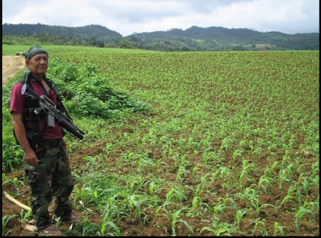 FARMS WITH ARMS. A former MNLF fighter guarding his GEM-supported cornfield. Photo courtesy of Noel Ruiz  
