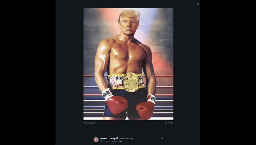 JOKE. A screen grab of the Twitter account of US President Donald Trump (@realDonaldTrump), his face superimposed on a picture of Silvester Stallone Rocky III boxing movie, on November 27, 2019 shortly after he posted it. Photo by Eric Baradat/@realDonaldTrump/AFP  