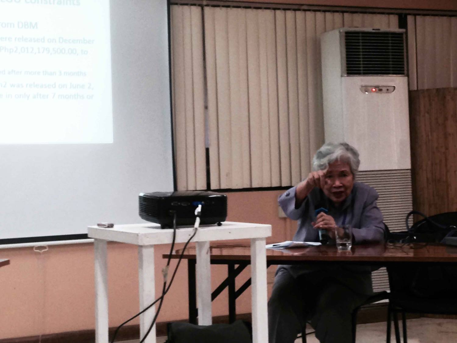 MEDIA BRIEFING. Social Watch lead convenor Leonor Briones presenting SWP initial research findings. 