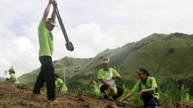 GREENING. With the help of people's organizations and other partners, the government hopes to increase the country's forest cover