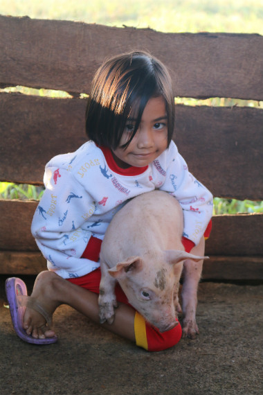 A CHILD'S PROMISE. The youngest daughter of the Intal couple promises that she will help take care of the piglets. 
