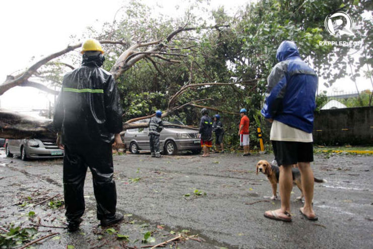 CLEARING. Rescue workers remove debris caused by a giant tree which crushed cars as Typhoon Glenda affected Makati City on July 16, 2014. Photo by Mark Cristino/Rappler