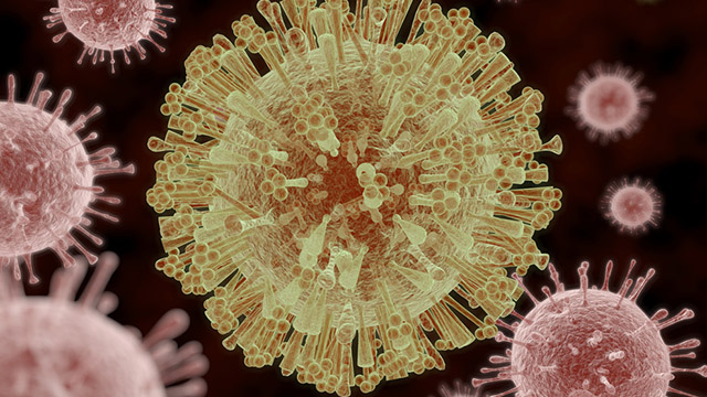 ZIKA THREAT. The World Health Organization has recently declared the virus a global threat. 