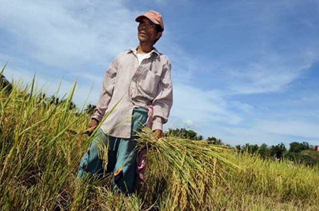 AGRICULTURAL POWERHOUSES. Mindanao produces 40% of the Philippines' food needs. This photo shows a Filipino farmer in Misamis Oriental. Photo from AFP 