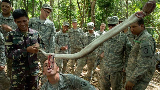 JUNGLE SURVIVAL. Filipinos show US troops how to trap and eat a king cobra for survival. U.S. Army photo by Pfc. Samantha Van Winkle/Released   