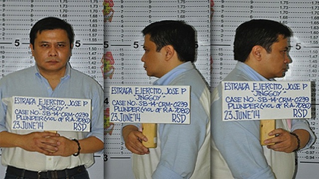 Mugshot of Senator Jinggoy Estrada as leaked to the media 
