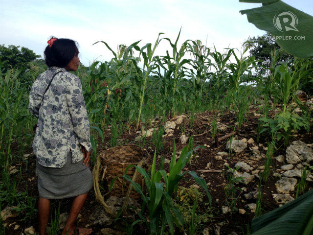 KAINGIN. Kaingin or swidden farming is part of the Hanunuo Mangyan's lives. Photo by Fritzie Rodriguez/Rappler  