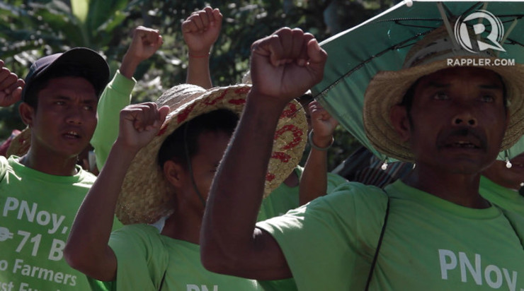 JUSTICE FOR FARMERS. A 2012 Supreme Court decision declared that the P71-billion coco levy funds must be used for programs directly benefiting coconut farmers