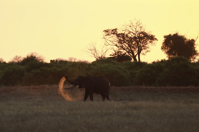 voi, kenya