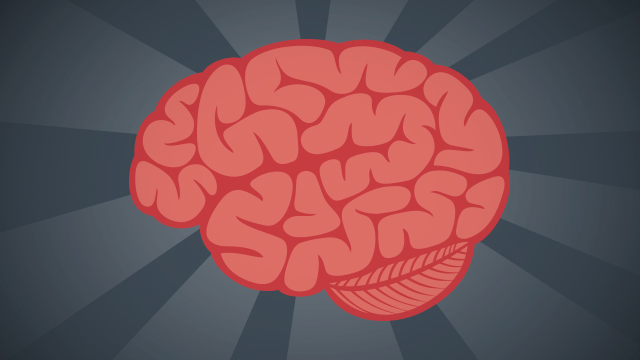 12 things you should know about the brain