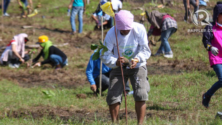 WORLD RECORD. Mindanaoans try to break the Guinness world record of planting the most number of trees within an hour on September 26, 2014. Karlos Manlupig/Rappler