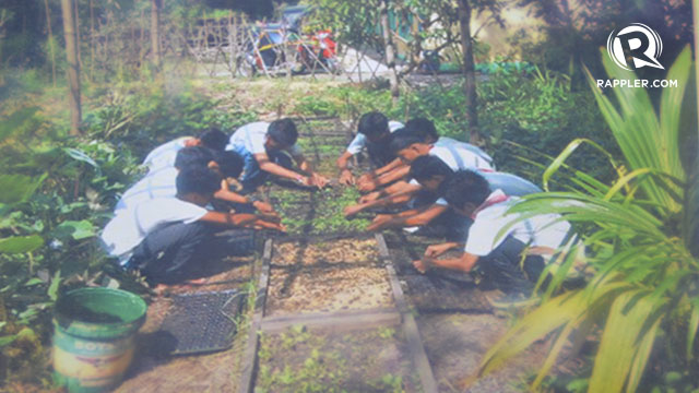 STUDENTS-TEACHER COOPERATION. Gulayan sa Paaralan is a joint project of Ferrer and students taking TLE. Photo by Abelardo Ferrer