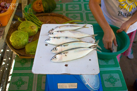 SOMETHING FISHY. Fresh fish from Nacpan beach