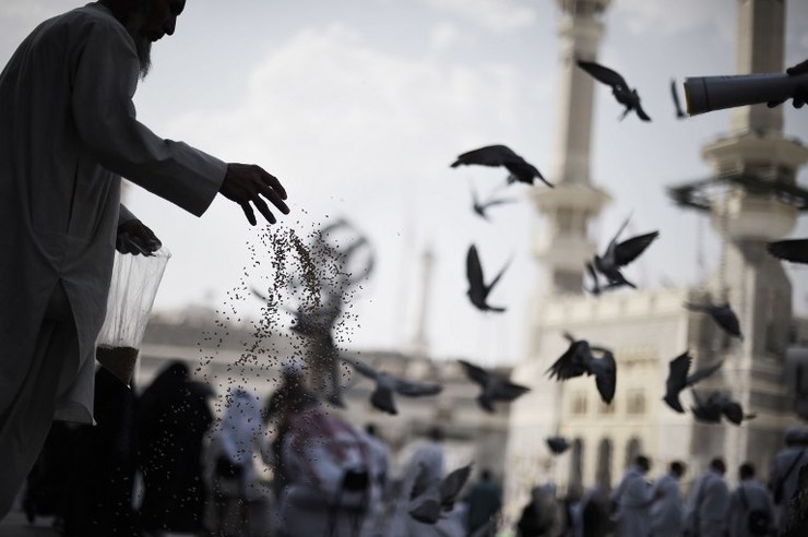 Foto oleh Mohammed al-Shaikh/AFP