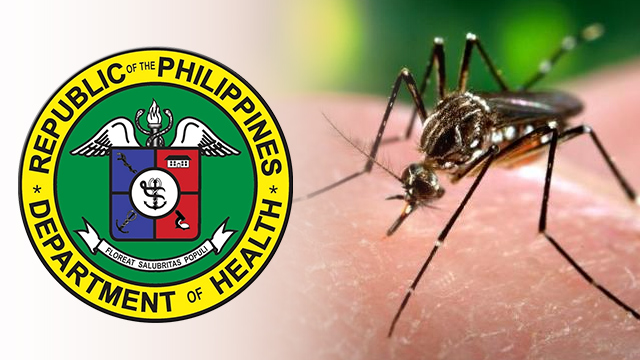 STAY ALERT. Government cautions Filipinos against the threat of the Zika virus, which is spreading rapidly in the Americas. File photos from Wikipedia  