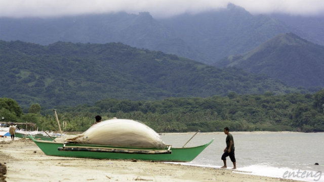 Mt. Lobo, one of the top biodiversity areas in the country, is part of the complex ecosystem that sustains the Verde Island Passage. Photo by Clemente Bautista/Kalikasan PNE
