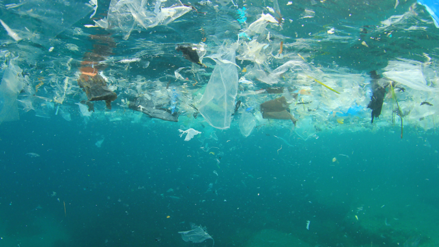 PLASTIC TRASH. The Mimaropa Council said in its resolution that single-use plastics pollute the seas and hurt marine life. Photo from Shutterstock  