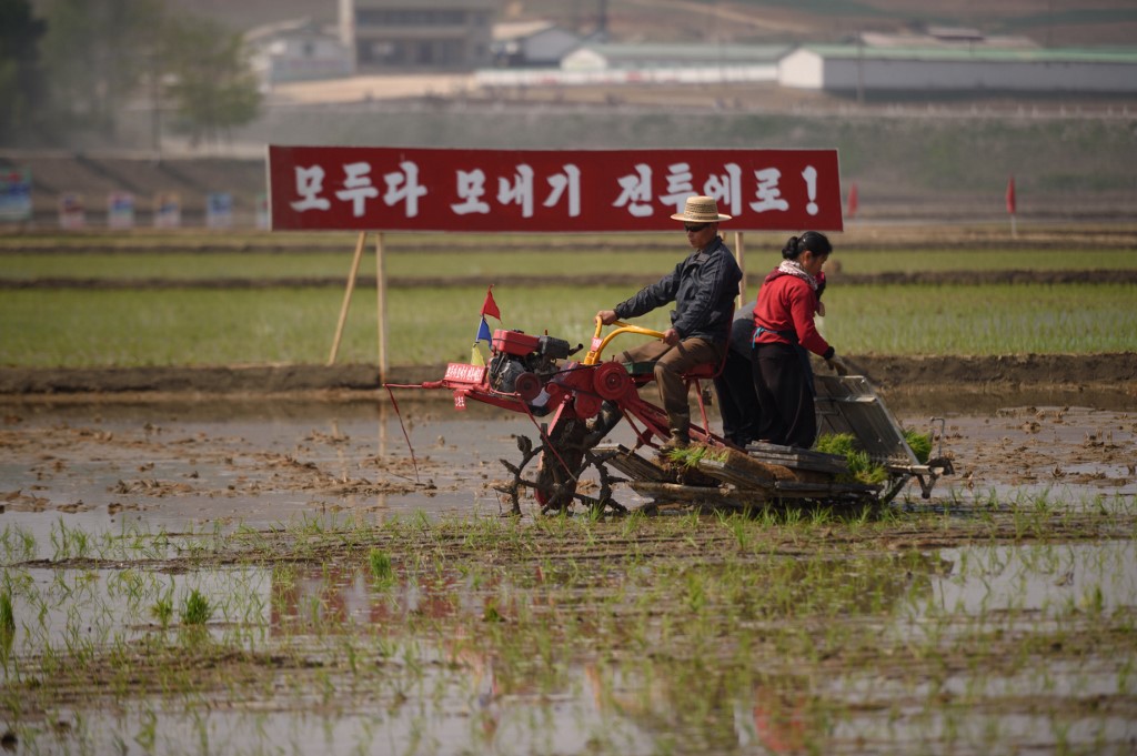 NORTH KOREA FARMER. People take part in an annual rice planting event in Nampho City in Chongsan-ri, near Nampho, North Korea on May 12, 2019. Photo by Kim Won Jin/AFP  