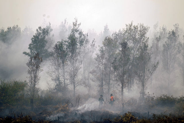 KABUT ASAP. Musibah kabut asap yang melanda Indonesia meluas hingga ke Papua. Foto oleh Bagus Indahono/EPA  