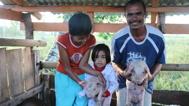 TWIN BLESSINGS. The Intal family receives a double replacement for the pregnant pig they lost – two piglets to restore their livelihood, and materials and tools to rebuild their damaged home. All photos by Leoniza Morales