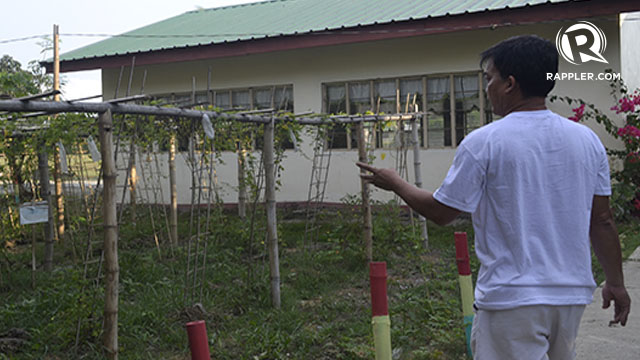 SMALL LOT. Ferrer was able to turn an empty lot into an organic farm for the school. Photo by Jodesz Gavilan/Rappler 