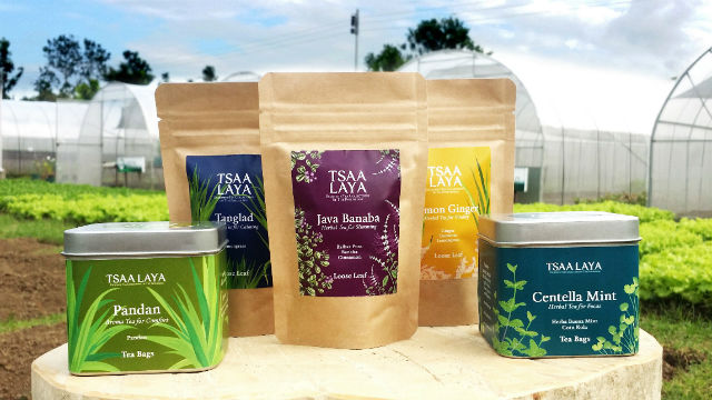 TEAS FOR SALE. Tea products come in different flavors. Photo from Tsaa Laya  