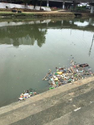 TRASH. Garbage dumped along Marikina River Park. Photo from the author