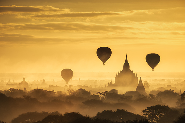 All photos via Shutterstock
