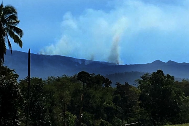 forest fire