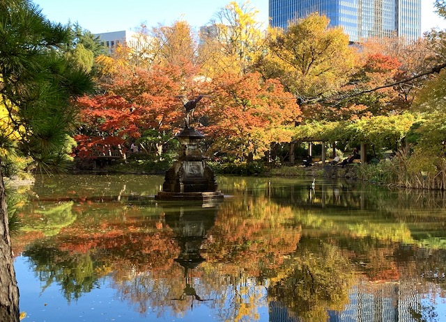 FALL COLORS. Leaves turn red, orange, yellow and golden in Hibiya Park. Photo by Chay Hofileña/Rappler 