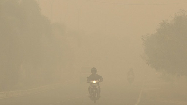 SEMAKIN PEKAT. Seorang pengendara motor menerobos kabut asap yang semakin pekat di Palembang, Sumatera Selatan Rabu, 30 September. Foto dari ABDUL QODIR / AFP 