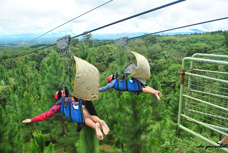 ZIPLINE AT DAHILAYAN. Gliding at high elevation via zipline is a popular activity at Dahilayan Adventure Park in Manolo Fortich, Bukidnon. Photo courtesy of Che Gurrobat
