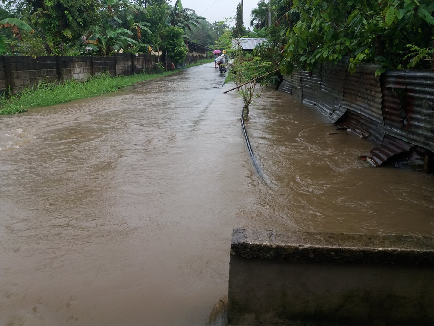 WATER ALL OVER. Many areas in the town of Batuan, located 40 kms from the capital city of Tagbilaran, have been threatened with massive flooding due to rains brought about by Tropipcal Depression Agaton. Photo from Gen Pio Arboleras' Facebook page 
