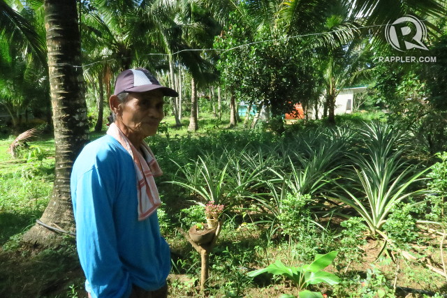 NEW, OLD WAY. Coconut farmer Rizal Marjes now plants over 10 types of crops in what used to be just a coconut farm. All photos by Pia Ranada/Rappler  