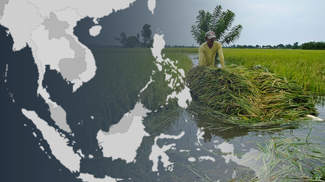 GEOGRAPHY. Southeast Asia's diverse geography also produces differences in rice production. Image courtesy of Alyssa Arizabal/Rappler 