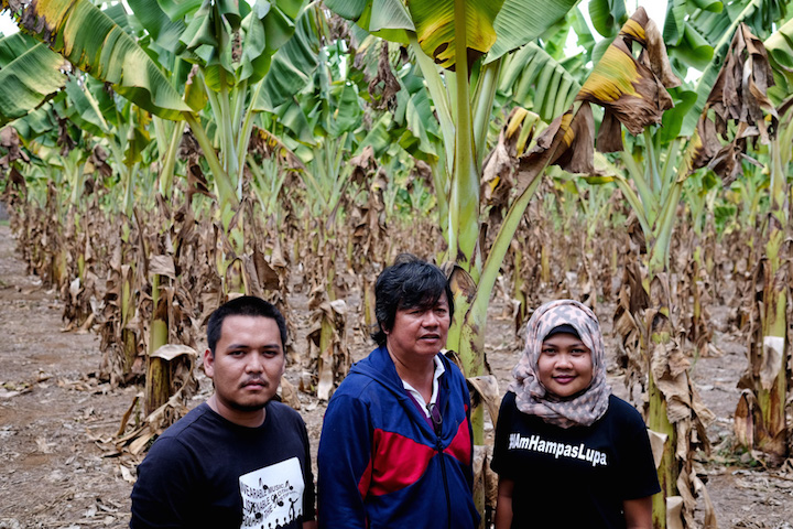DROUGHT'S DAMAGE. Youth campaigners and a municipal agriculturist witness the severity of damage in a banana plantation in North Cotabato due to the drought brought by El Niño. Photo courtesy of Veejay Villafranca/Greenpeace  