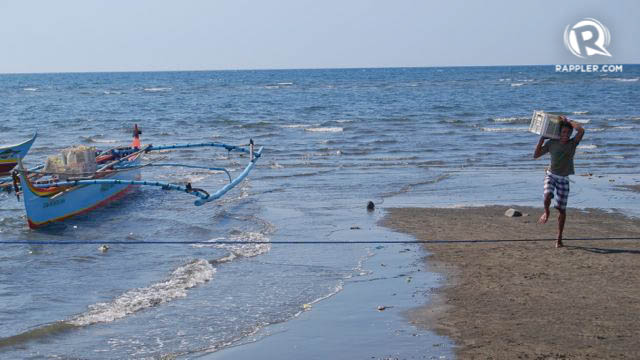 OCEAN'S BOUNTY. A fisherman in Zambales carries his catch for the day. Photo by Randy V. Datu/Rappler 