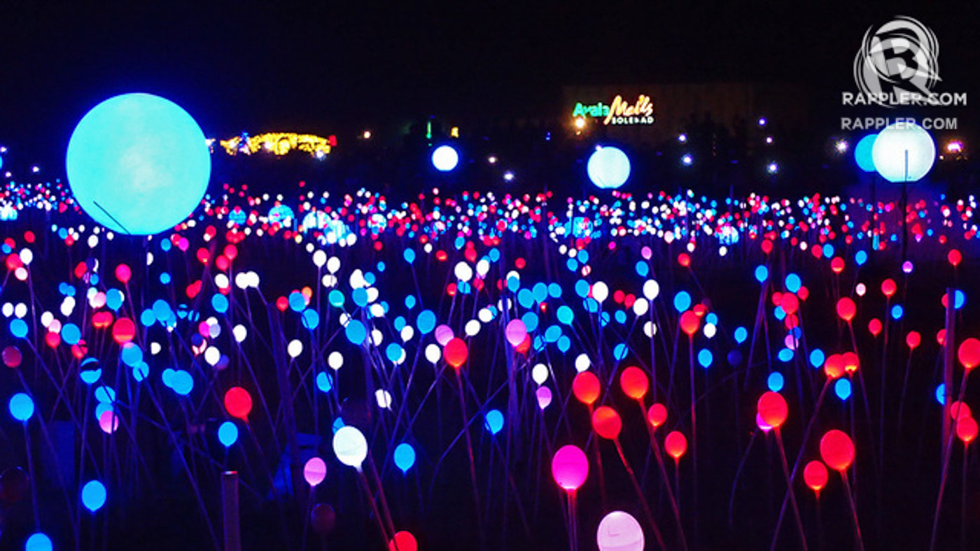 LIGHTS, NOT FLOWERS. The Magical Field of Lights looks like a field glowing with flowers. 