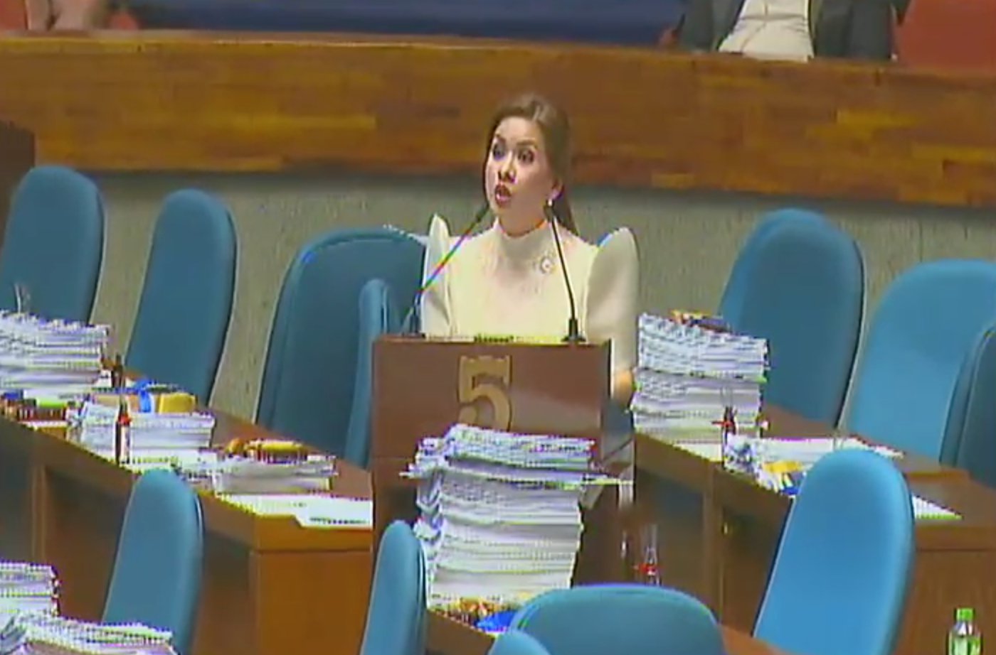 Kalinga Representative Irene Saulog. Screenshot from House of Representatives' Youtube account 