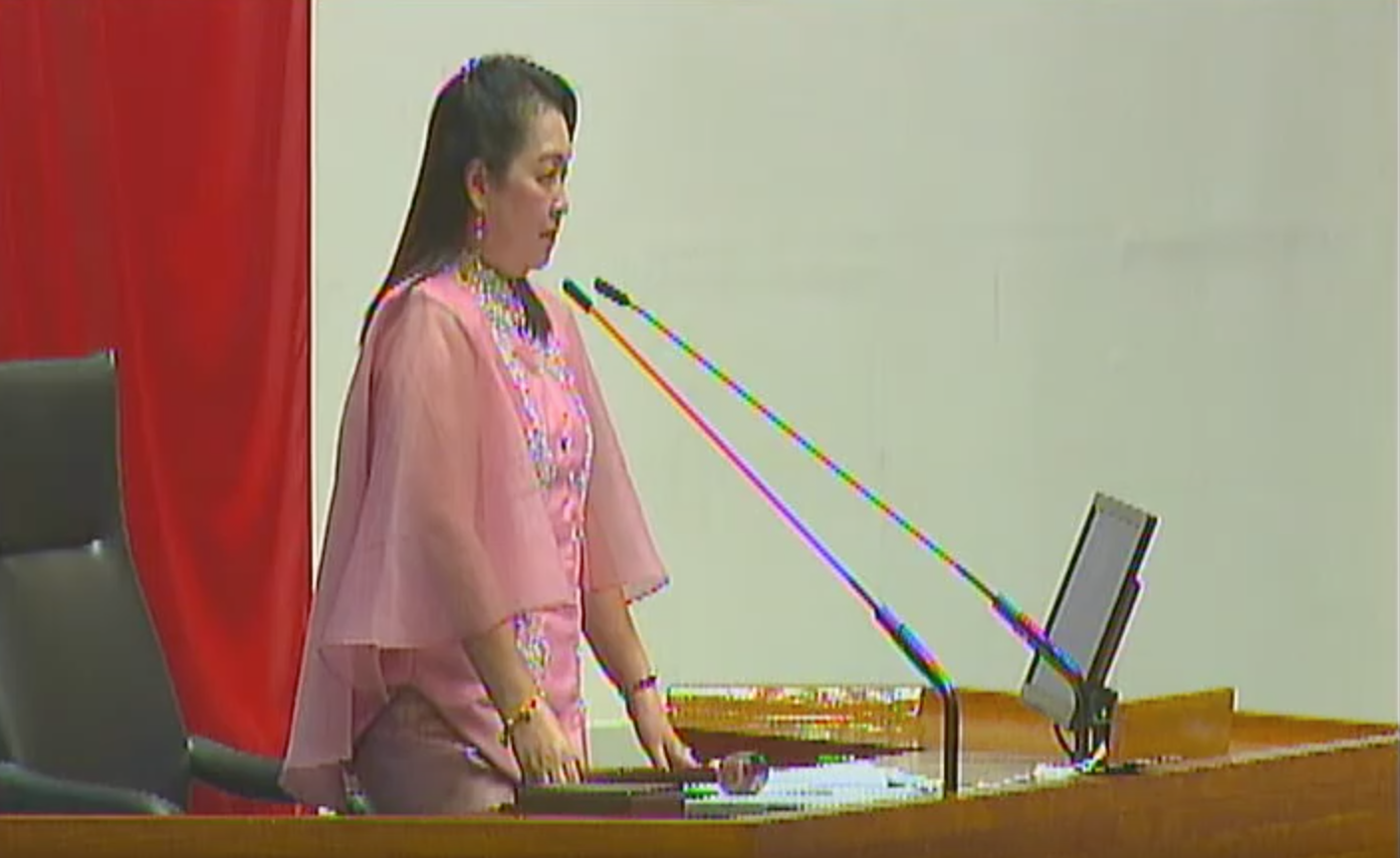 Guimaras Representative Ma. Lucille Nava. Screenshot from House of Representatives' Youtube account 