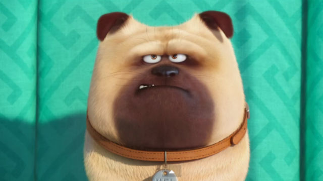 youtube ahok characters. from one OF Meet Mel, of Screengrab the YouTube LIFE PETS.